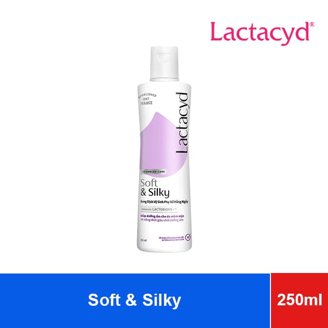 Lactacyd Feminine Care Soft and Silky 250ml x24 (Sanofi) wholesale product