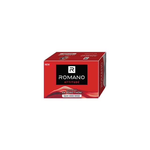Romano Bar Soap Attitude 90g wholesale product