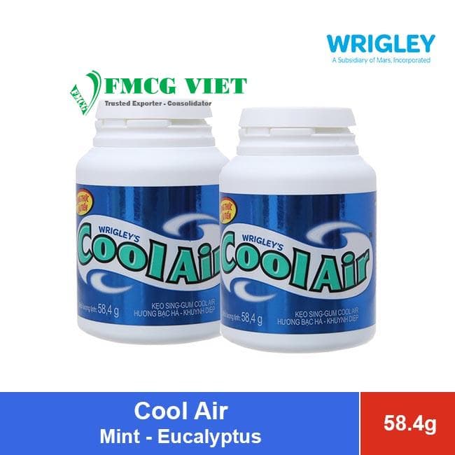 Cool Air Chewing Gum Jar 58.4g Peppermint Mint – Fresh Cube wholesale product