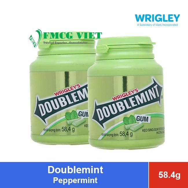 Doublemint Chewing Gum Jar 58.4g Peppermint Flavor – Fresh Breath wholesale product